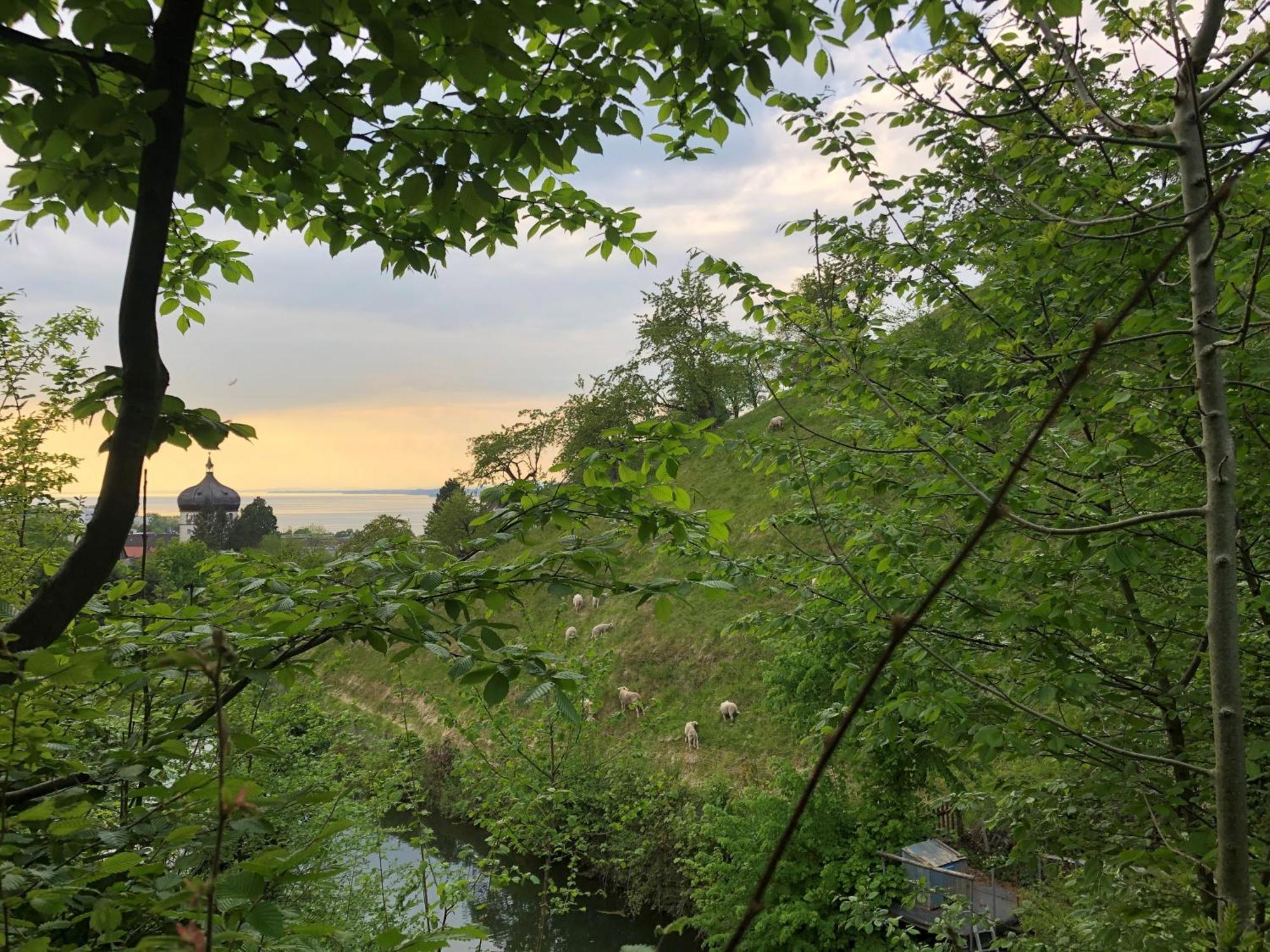 Haus Am Felsen, Ferien In Vorarlberger Architektur Lägenhet Bregenz Exteriör bild